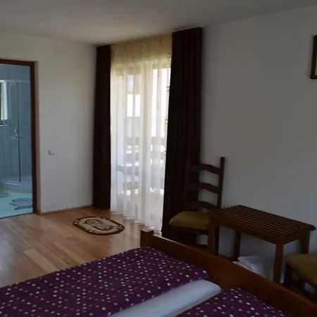 Pensjonat Denisa Mediaş